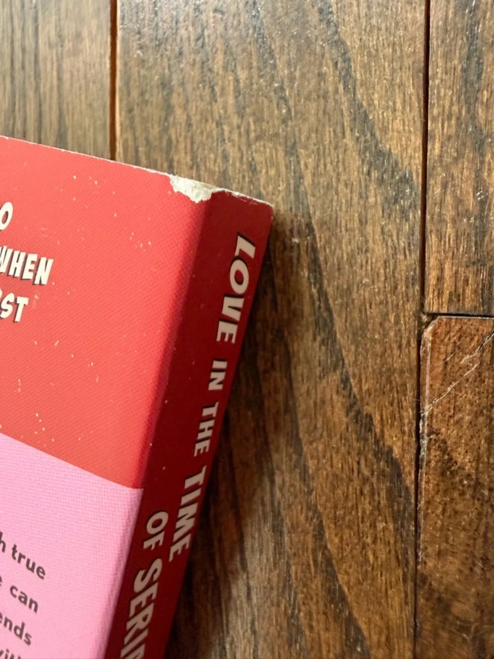 Original Penguin Pink and Red Paperback Back-Cover